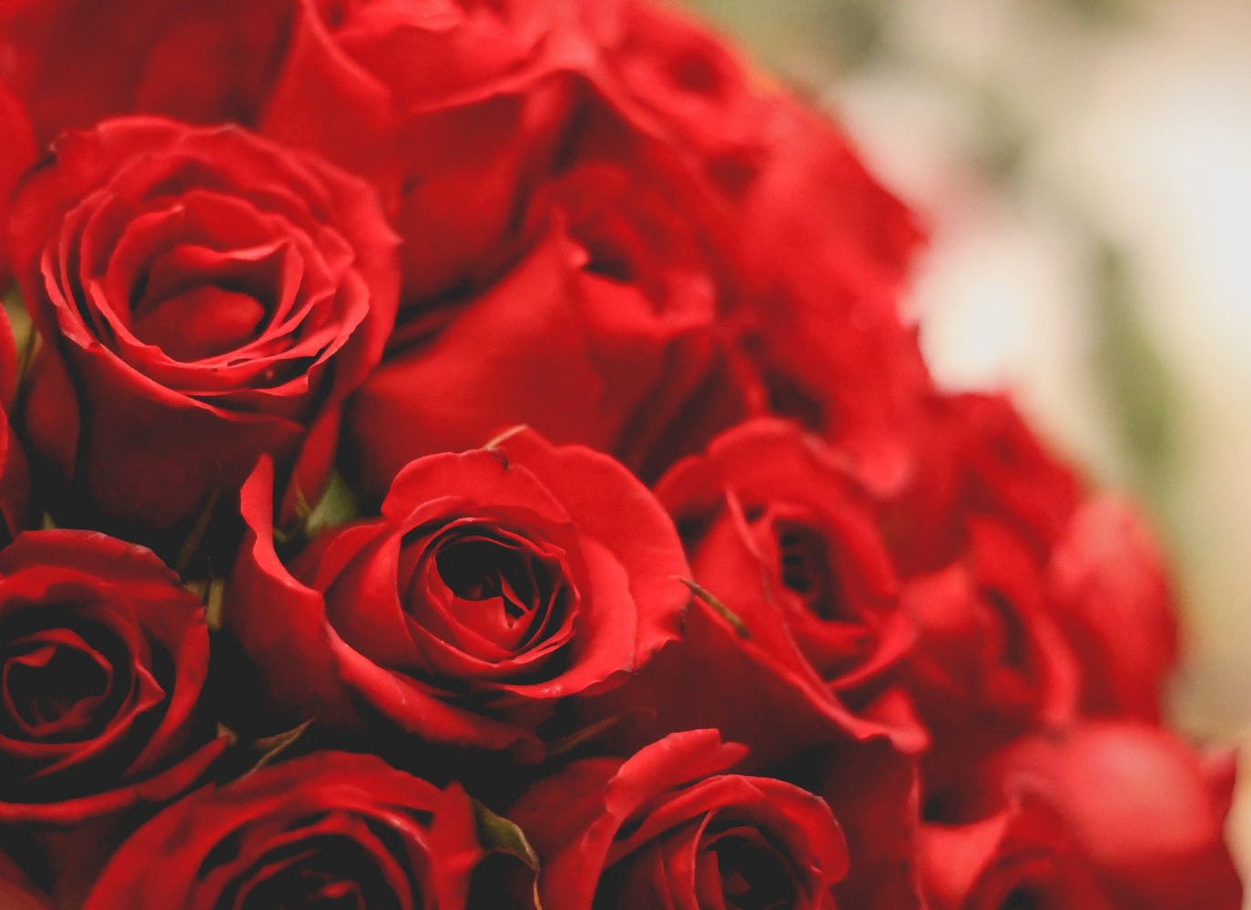 Valentijnsboeket Rode Rozen incl. gratis doos Bonbons!