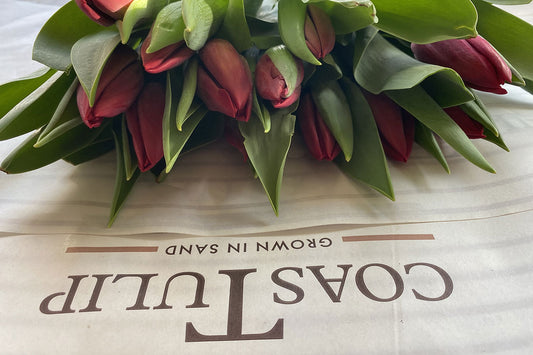 Tulpen, bos per 5 stuks