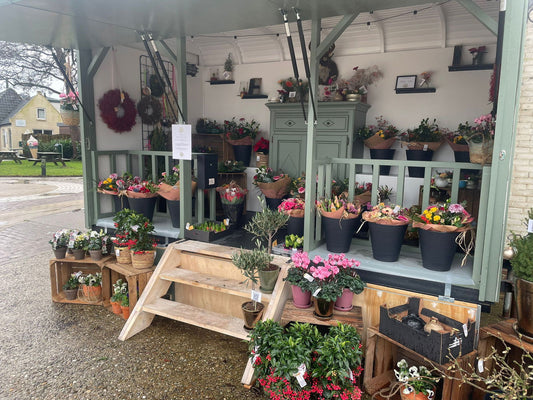 De luiken weer open!