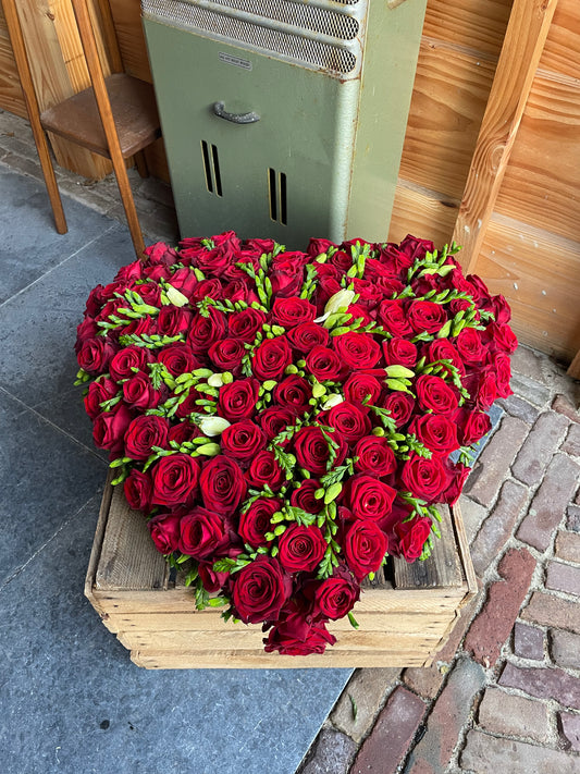Hartvorm Rood 50 cm